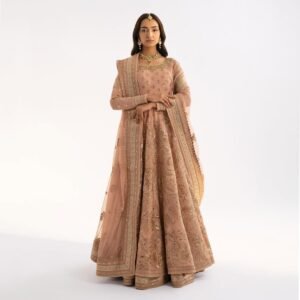 A Women Monsoon Wedding Wear Gown Dusty Pink