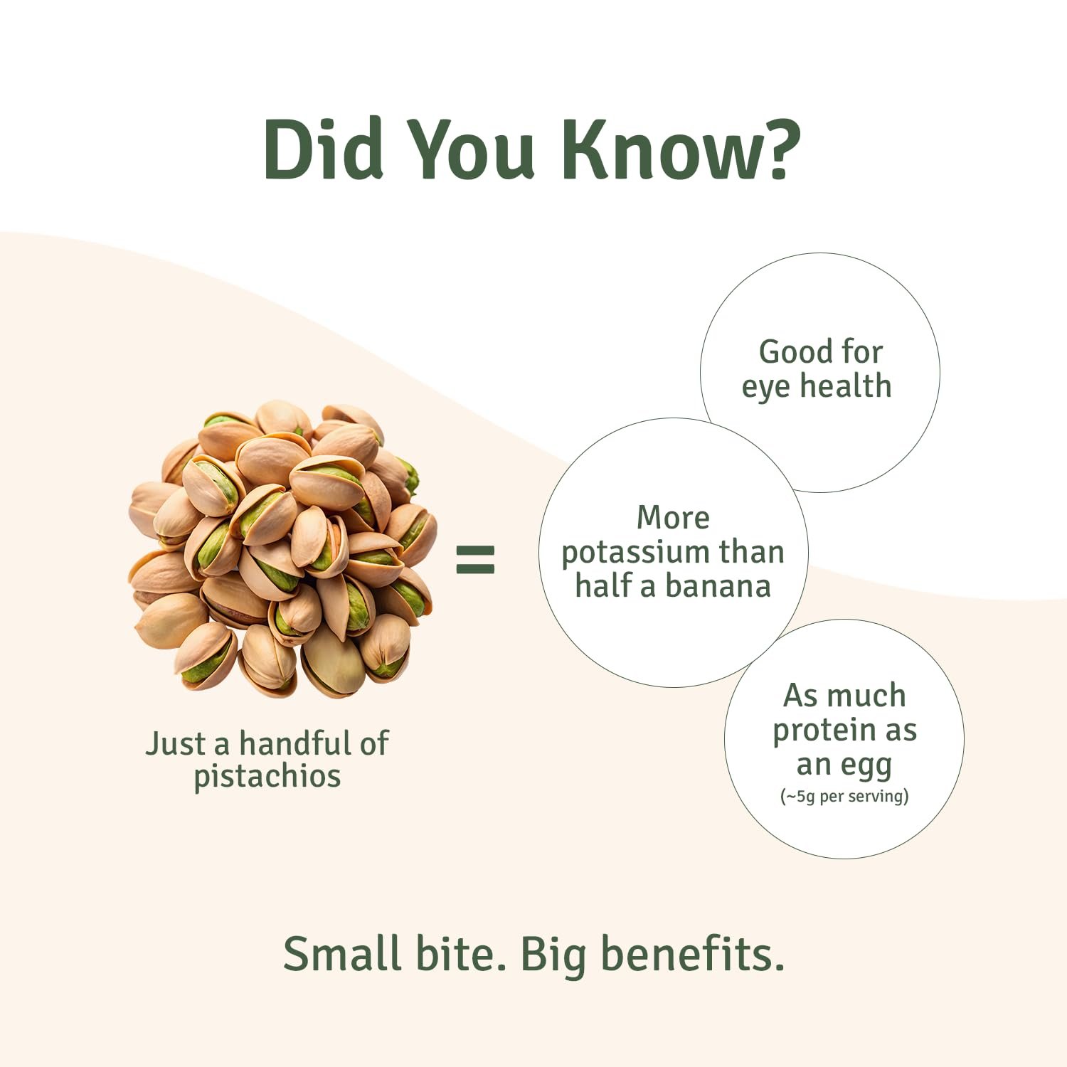 American Pistachio - Image 5