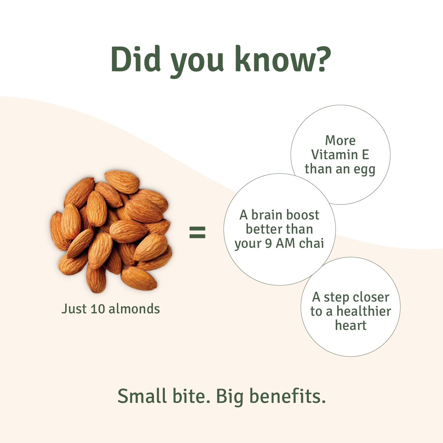 American Almonds - Image 5